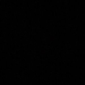 Meet your Posher, Alana